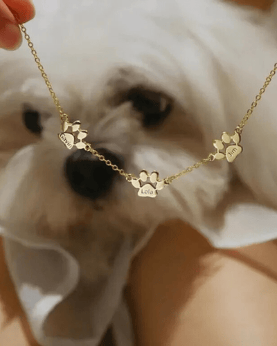 Luxe Paws Halo - Custom Name Necklace - HouseofLx - 18K Yellow Gold